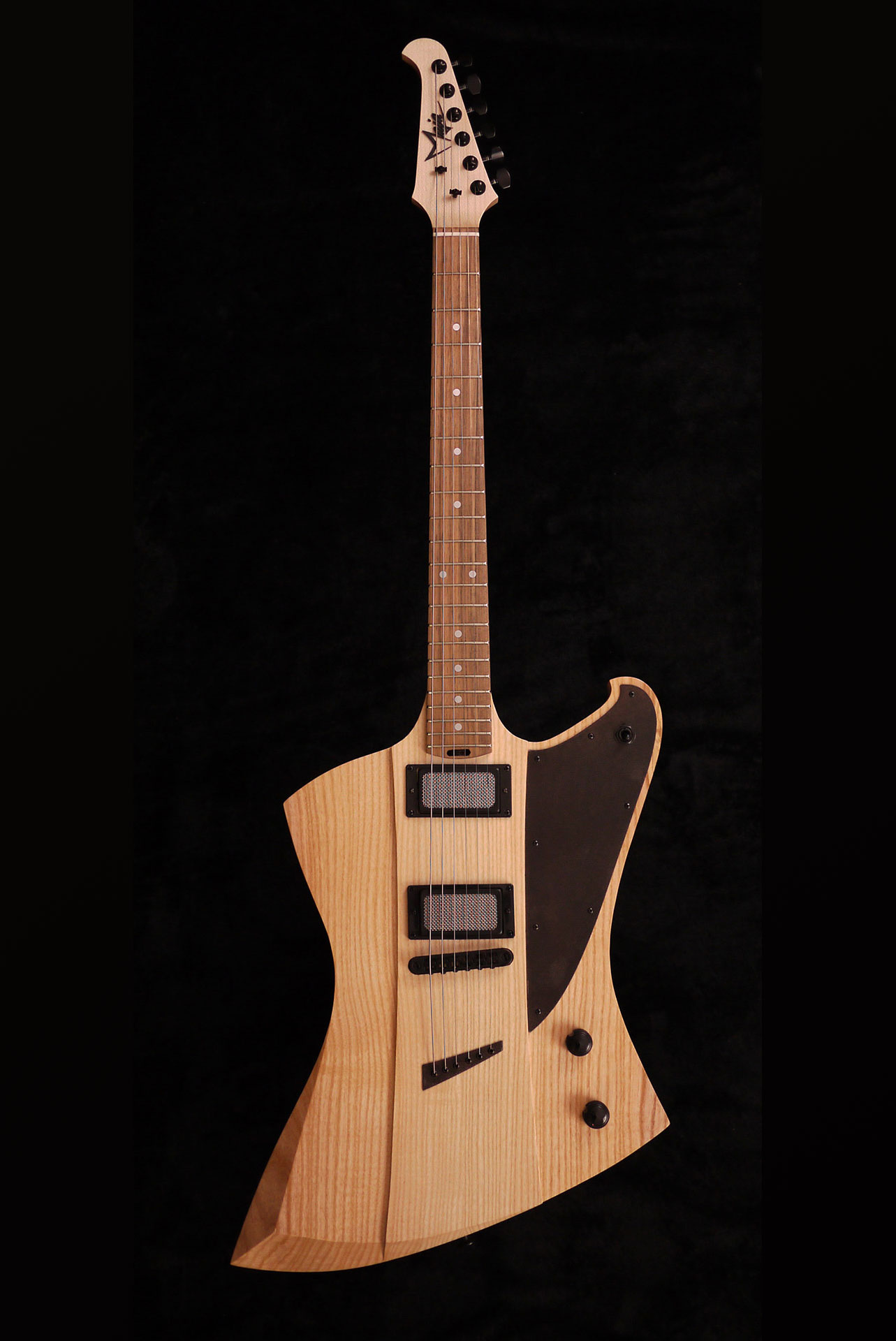 Custom Shop Maja Guitares Modèle Kormoran